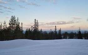 Fjaellstugan